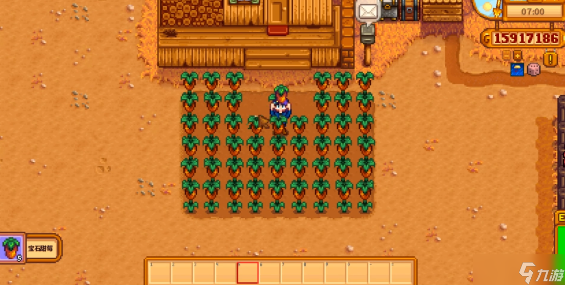 星露谷物语耕种等级5选什么好