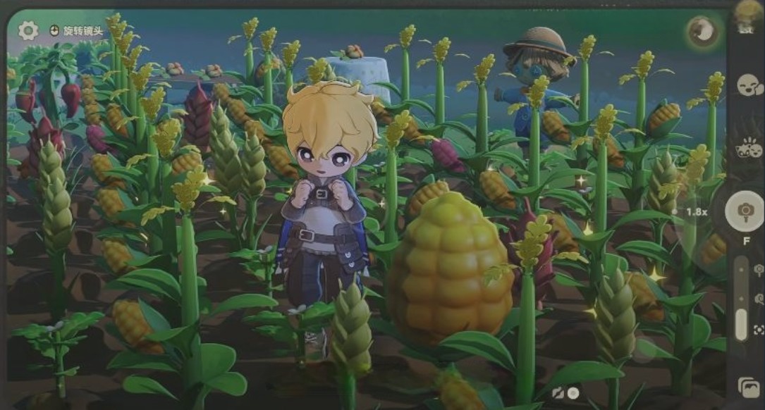 星布谷地变异果实获取攻略