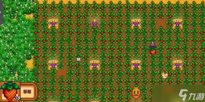 星露谷物语能种植什么