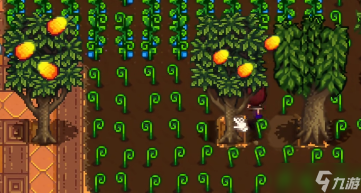 星露谷物语能种植什么