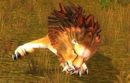 魔兽世界怀旧服扫荡者在哪刷 扫荡者位置坐标一览