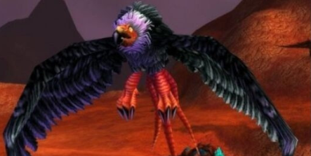 魔兽世界怀旧服食腐鸟在哪抓 怀旧服食腐鸟技能详解