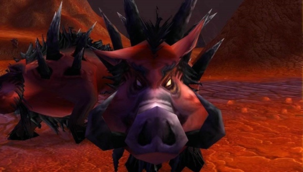 魔兽世界怀旧服野猪宝宝哪个好 怀旧服野猪宝宝攻速那个高