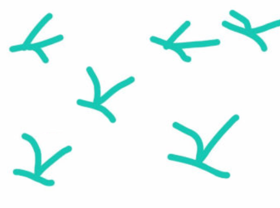 QQ画图红包动物迁徙怎么画 画图红包动物迁徙画法