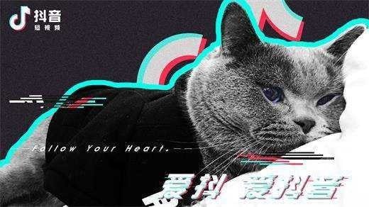 抖音呀咿呀咿呀是什么歌 呀咿呀咿呀歌词介绍