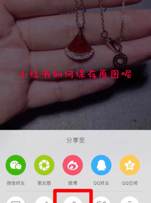 小红书的图片怎么保存下来 小红书怎么样保存图片无水印
