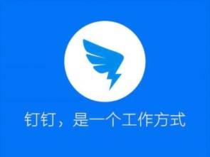 政务钉钉是干什么的 政务钉钉怎么样
