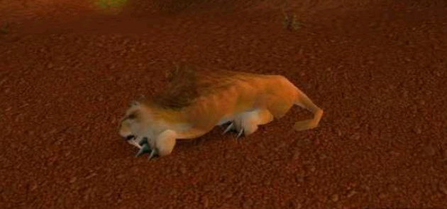 魔兽世界怀旧服猫学什么技能 怀旧服猫科宝宝技能选择加点