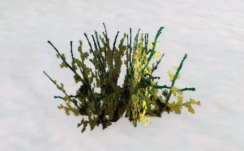 魔兽世界怀旧服冬刺草哪里多 魔兽世界怀旧服冬刺草刷新分布地点一览