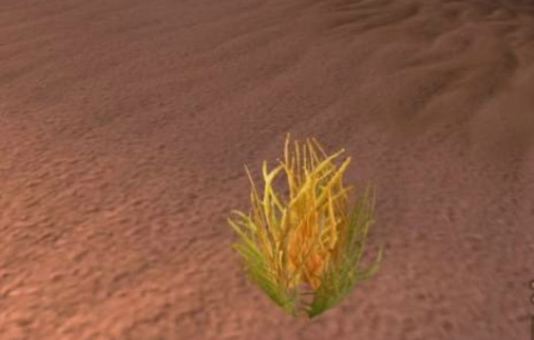 魔兽世界怀旧服太阳草哪里多 怀旧服太阳草刷新位置分布图详解