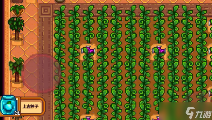 星露谷物语什么酿酒收益高