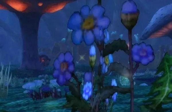 魔兽世界怀旧服盲目草哪里多 怀旧服盲目草刷新位置分布图详解