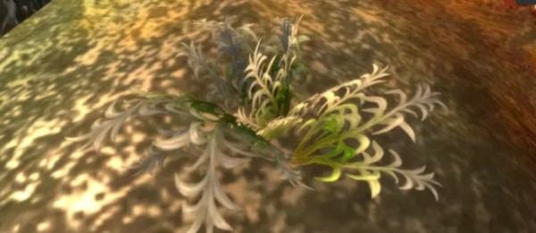 魔兽世界怀旧服山鼠草哪里多 怀旧服山鼠草位置分布图详解