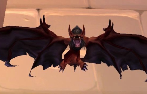 魔兽世界怀旧服蝙蝠宝宝吃什么食物 怀旧服蝙蝠吃什么东西