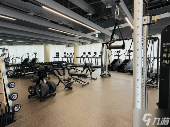 实探《红色沙漠》总部！700人填满大厦 3A野心庞大