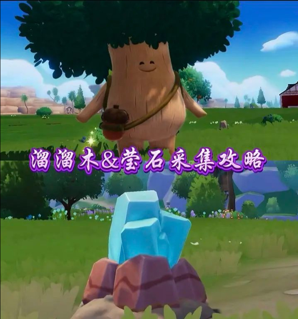 8.1心动小镇溜溜橡木和无暇荧石位置