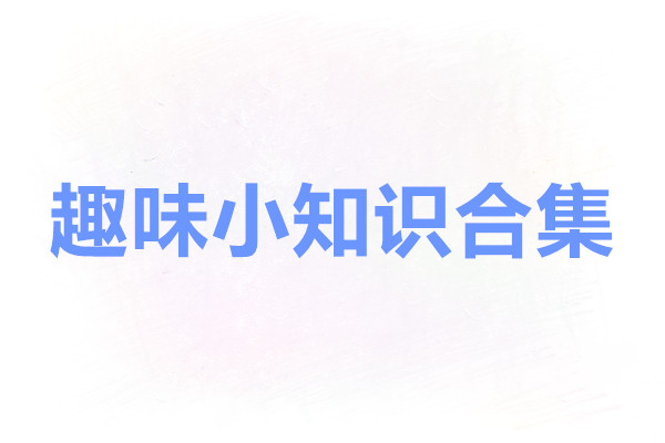 明日方舟趣味小知识合集