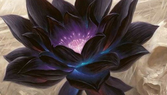 魔兽世界怀旧服冬泉谷黑莲花刷新点位置 怀旧服冬泉谷黑莲花分布图