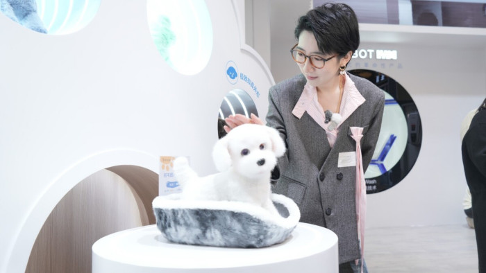 具身智能从工具到家人 科沃斯“毛团儿”如何学会陪伴？