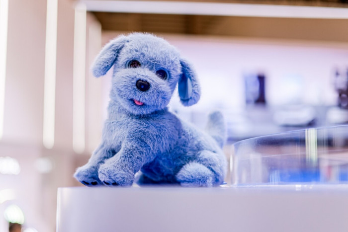 具身智能从工具到家人 科沃斯“毛团儿”如何学会陪伴？