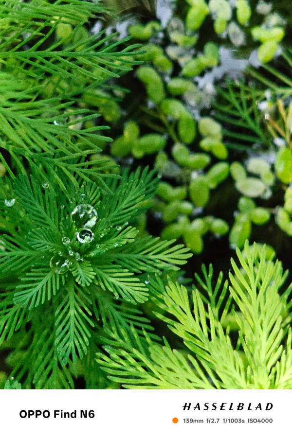 OPPO Find N6正式发布：无感折痕+哈苏影像，今年最值得入手的折叠旗舰