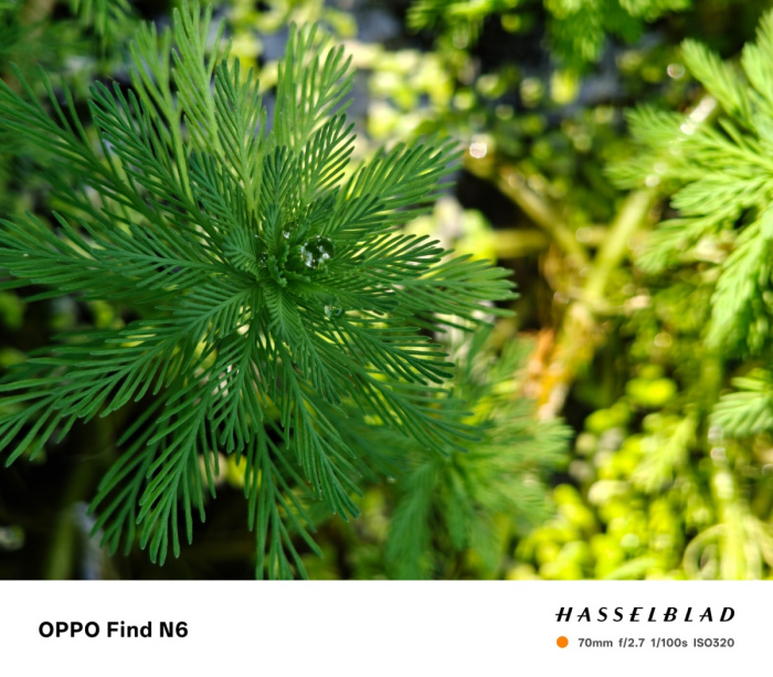 OPPO Find N6搭载哈苏2亿超清四摄,影像质感全方位跃迁